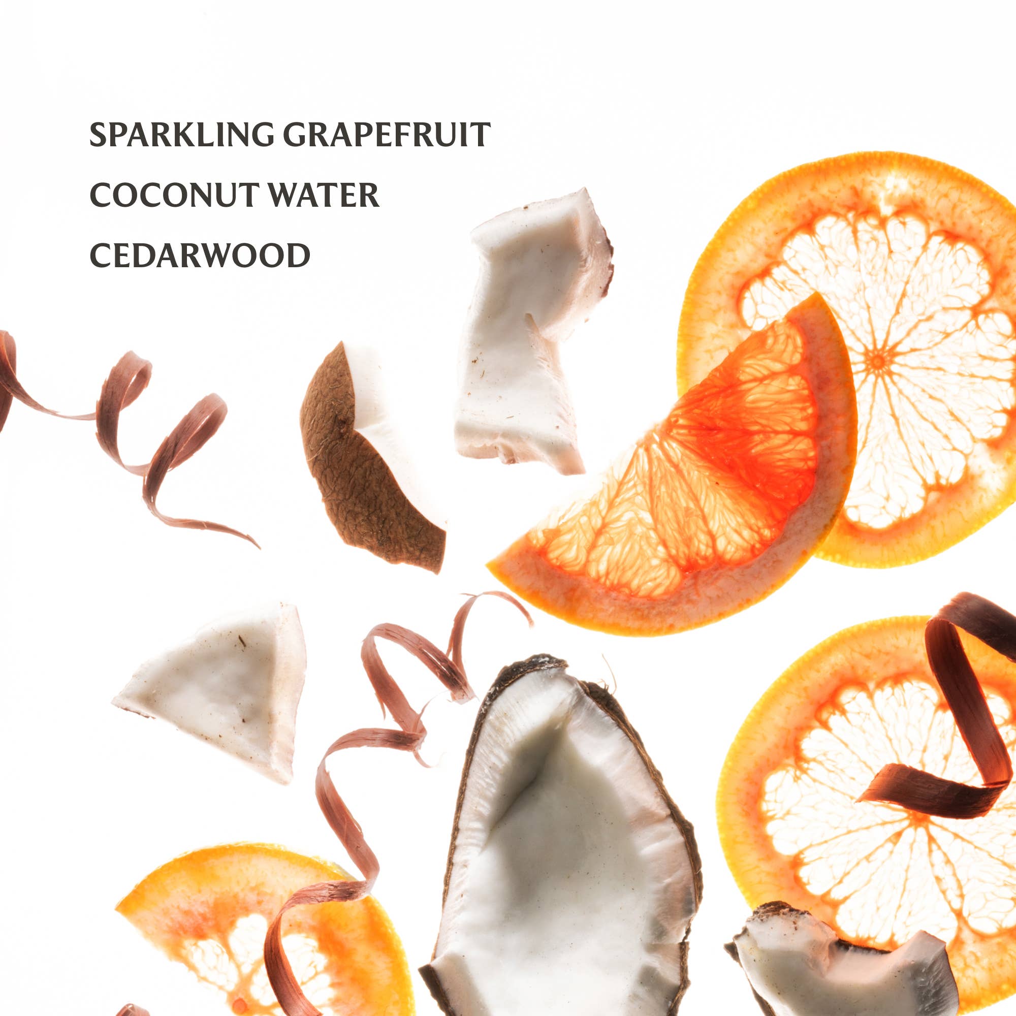 Beach Coco Power Mist Hydrating Hand Sanitizer - Grayce's Boutique