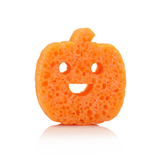 Pumpkin Spice Pumpkin - Boo Pals Halloween 2026 Buffer