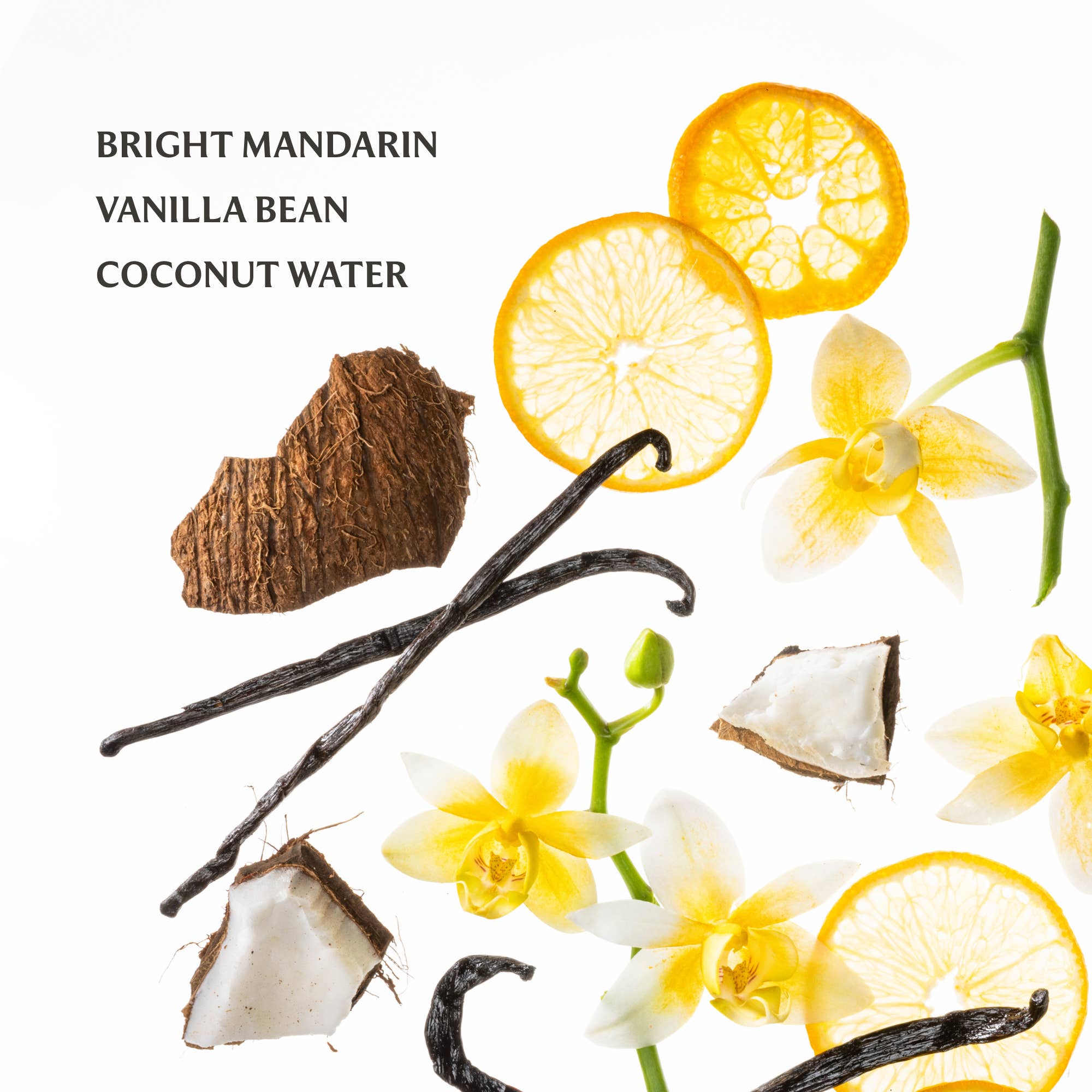 Vanilla Blossom Power Mist Hydrating Hand Sanitizer - Grayce's Boutique